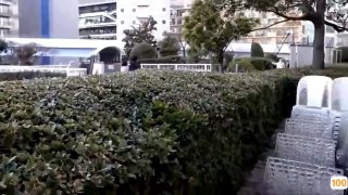 《最近高清中文在线字幕》中文字幕免费在线观看-影院版